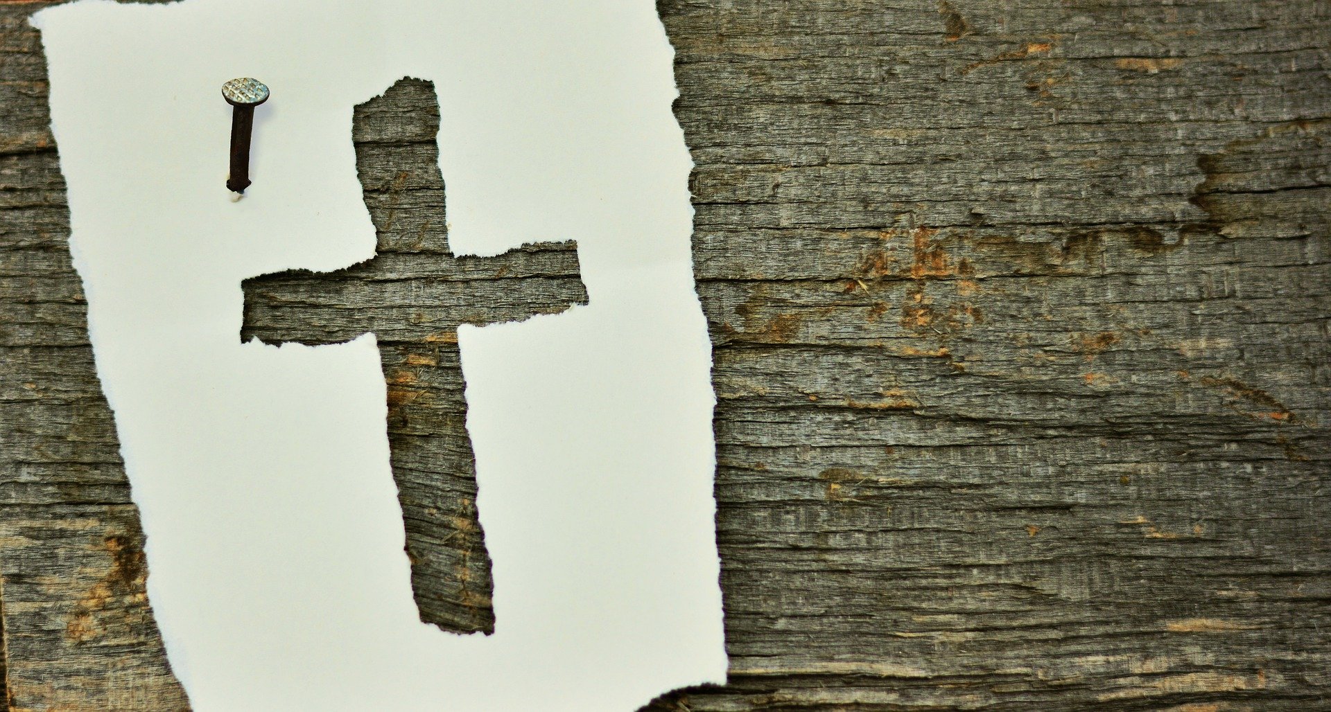 Read more about the article Taking Up the Cross