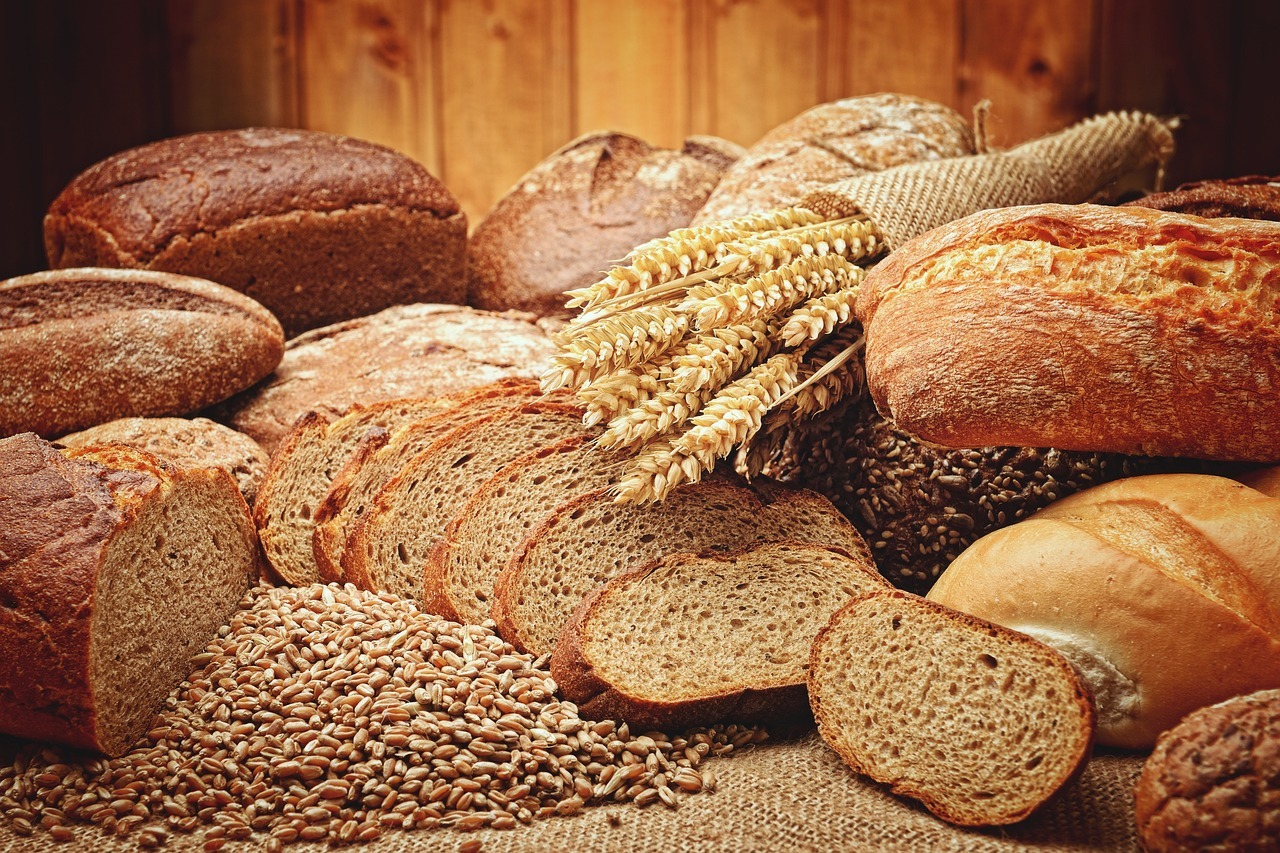 Read more about the article Bread of Life